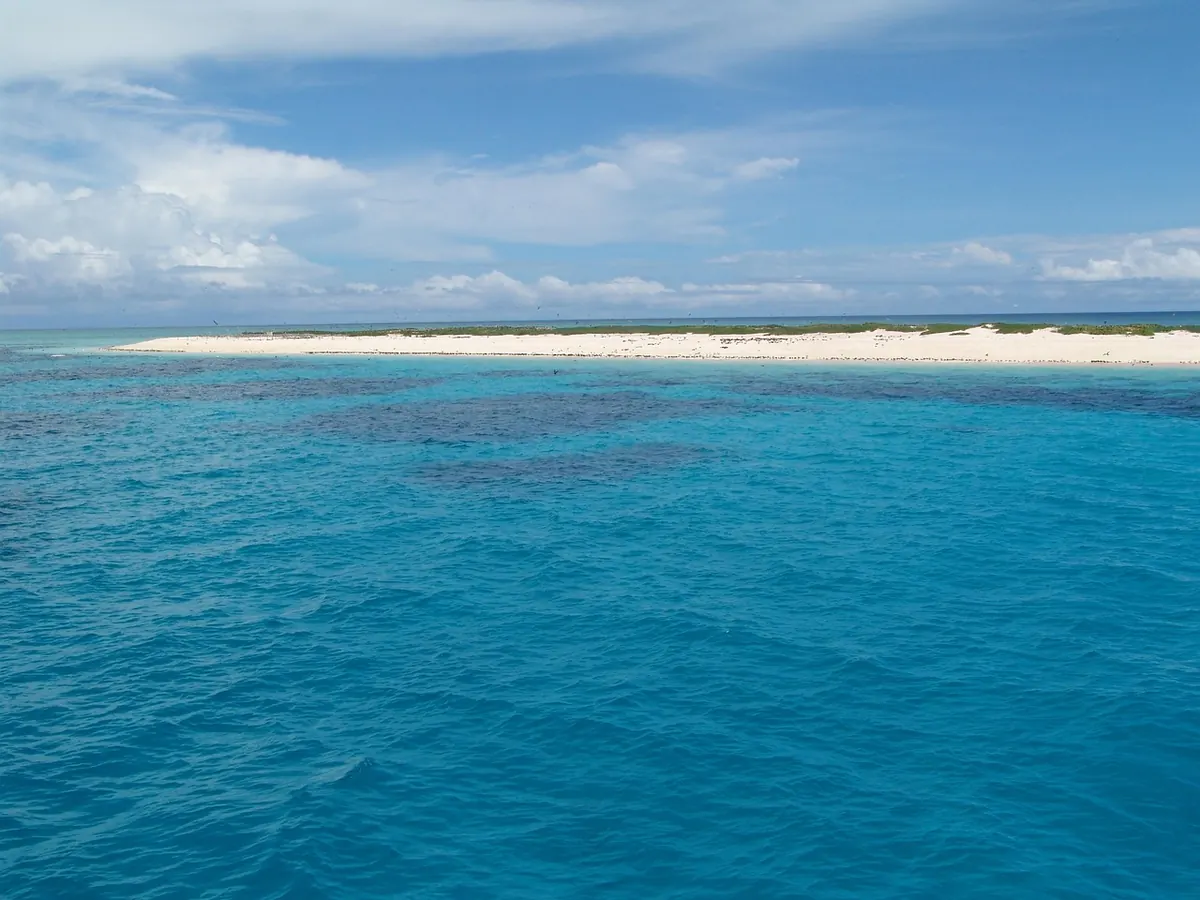 Coral Reef Zones Explained: From Fringing Reefs to Atolls